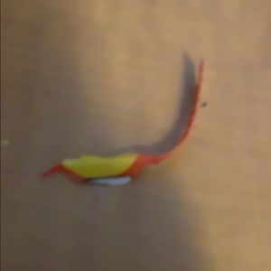 Meet your Posher, Nickiel